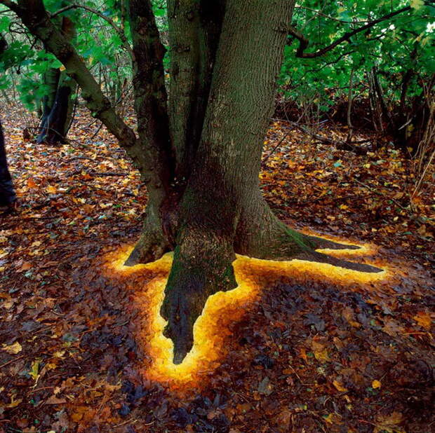 Природный арт Andy Goldsworthy Природный арт Andy Goldsworthy