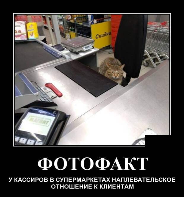 Демотиваторы (30 фото)