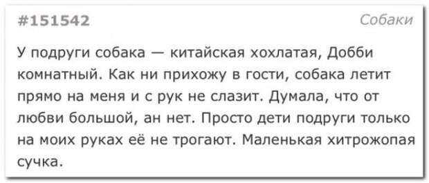 Забавные комментарии из социальных сетей