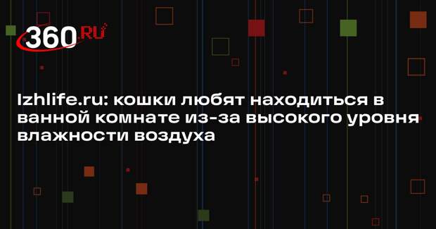 Izhlife.ru: кошки любят находиться в ванной комнате из-за высокого уровня влажности воздуха