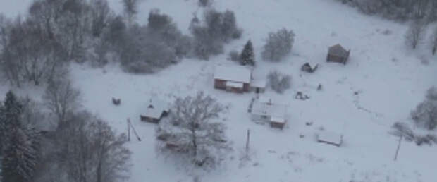 Владимир Колокольцев сообщил о ликвидации нарколабораторий в Московской и Псковской областях