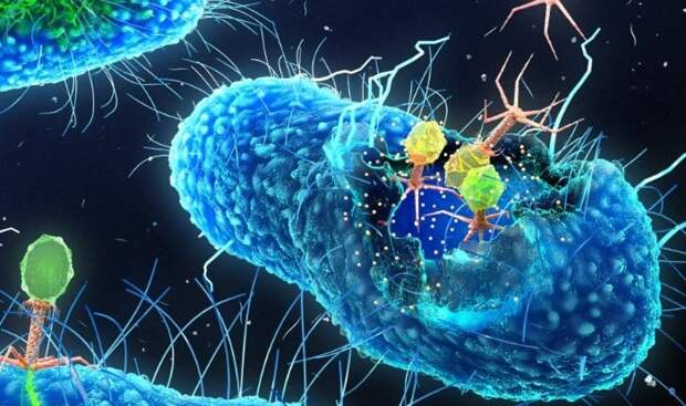 Учёные создали «живые» синтетические клетки, собирая бактерии для изготовления деталей
