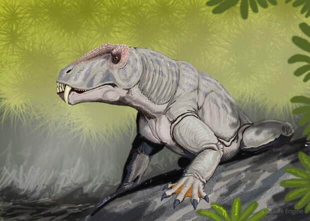 Антеозавр: Угнетал даже тех, кто был эволюционно более развит, чем он. Этот альфа-хищник охотился на крупнейших животных пермского периода