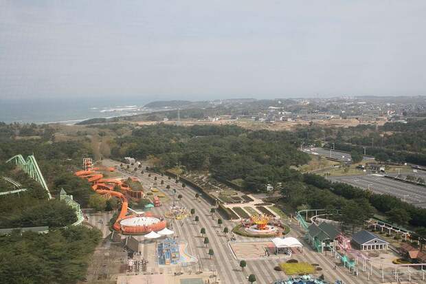 NewPix.ru - «Hitachi Seaside Park» сад цветов в Японии