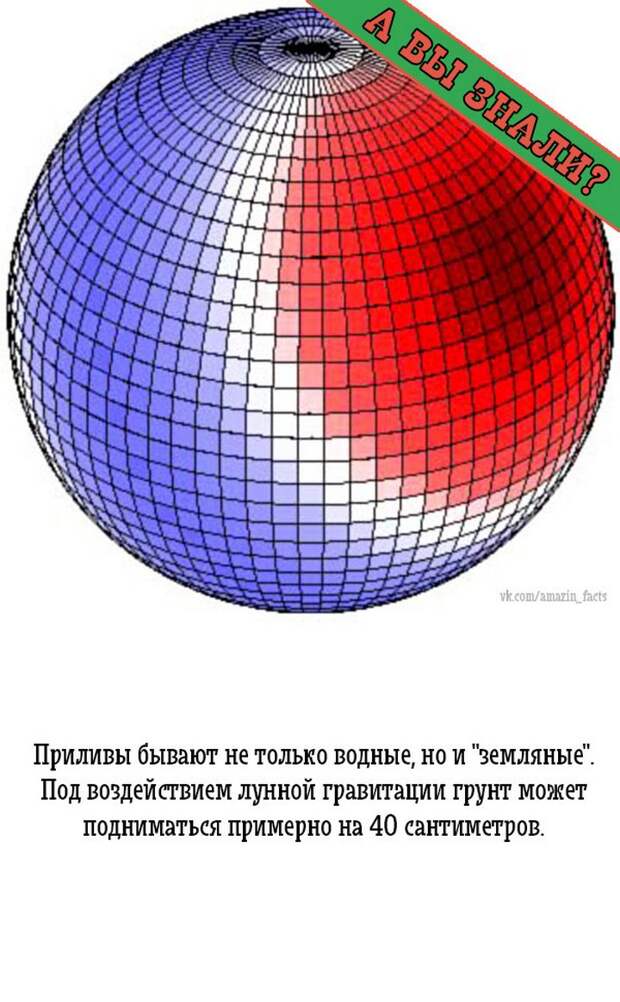 интересные факты