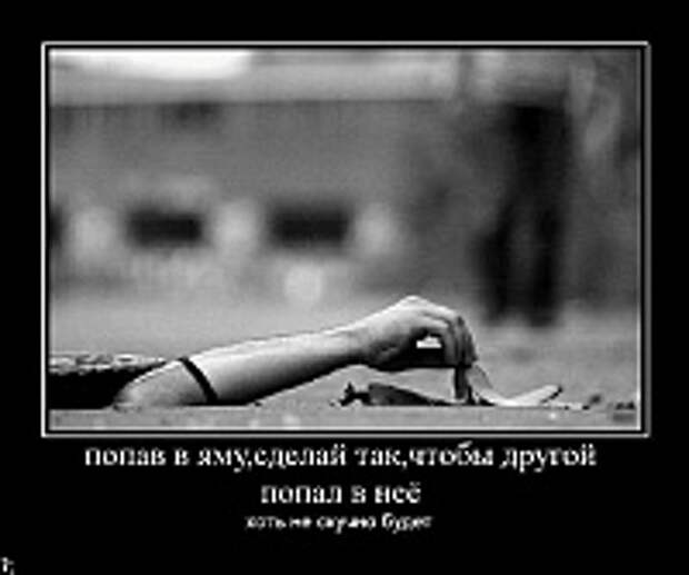 Демотиваторы фото 98