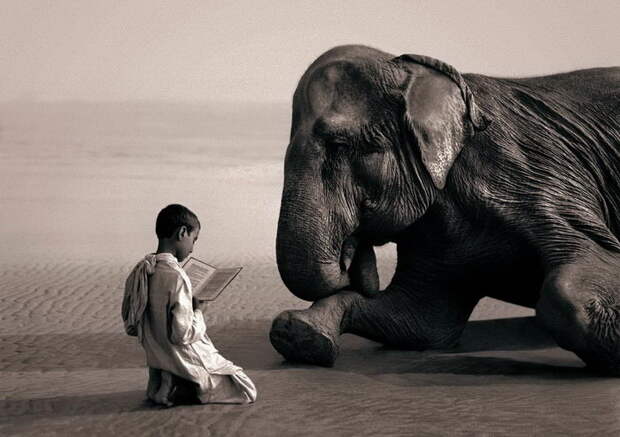 Люди и животные в фотографиях Gregory Colbert Люди и животные в фотографиях Gregory Colbert
