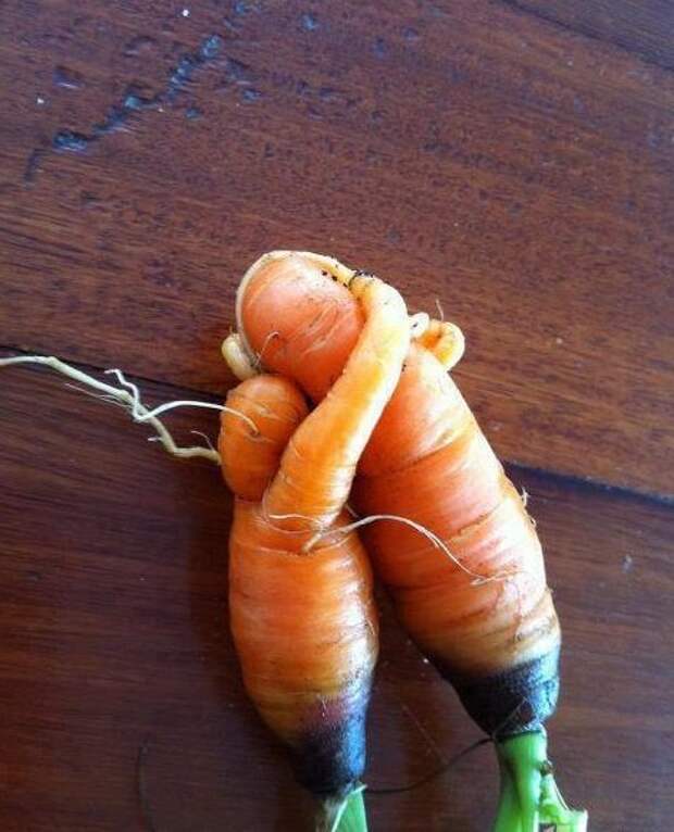 Смешная морковка.