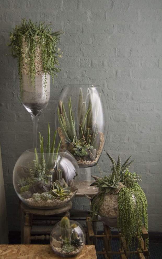 вазы для флорариума