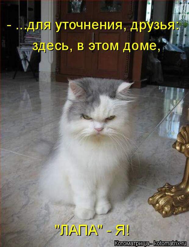 Котоматрица: - ...для уточнения, друзья: "ЛАПА" - Я! здесь, в этом доме,