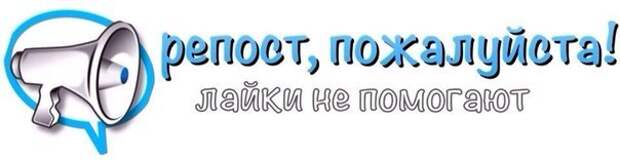 Закончился дачный сезон, все уехали. А там, на опустевших участках остались два рыжих солнышка... Умоляем, возьмите, хотя бы на время!