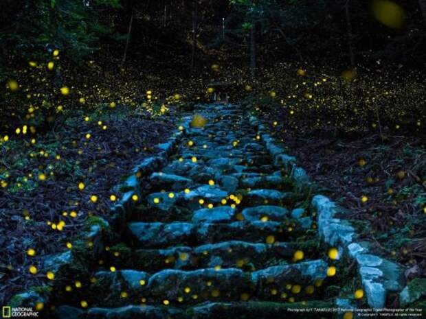 Победители и почётные места конкурса National Geographic Travel Photographer of the Year 2017 (19 фото) Победители и почётные места конкурса National Geographic Travel Photographer of the Year 2017 (19 фото)