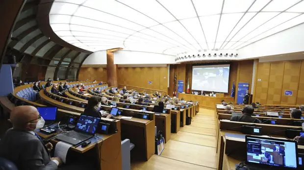 Globallookpress.com/Council of Europe Parliamentary