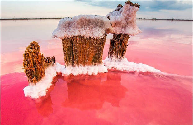 В Сивашском заливе насчитывается около 200 миллионов тонн соли.  Фото: Сергей Анашкевич.