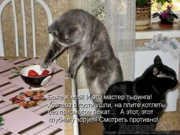 Высказывания про мясо