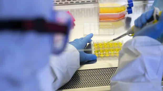 В Красноярском крае прокомментировали ситуацию с заболеваемостью COVID-19