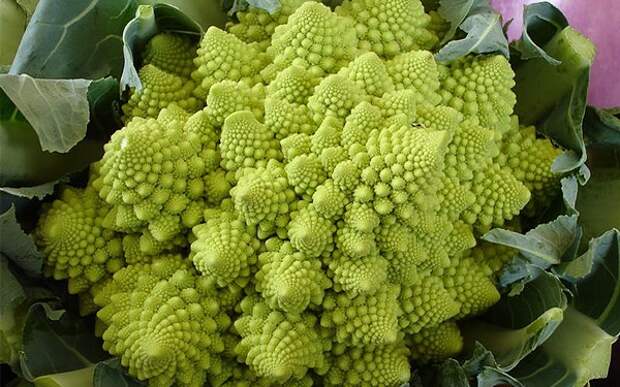 Капуста Romanesco Broccoli
