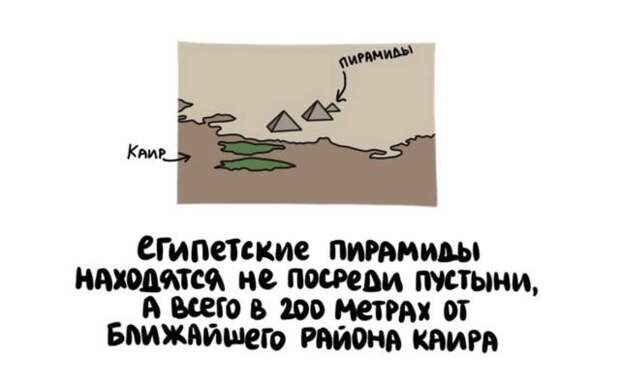 Короткие интересные факты обо всем