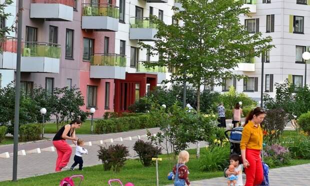 Фото: строймосру