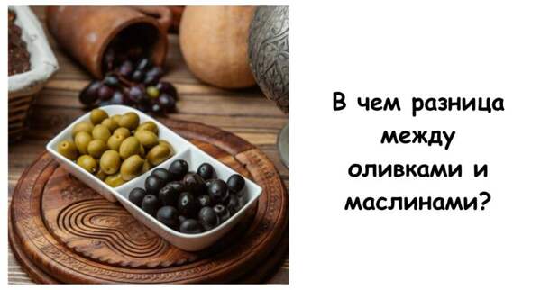 В чем разница между оливками и маслинами?