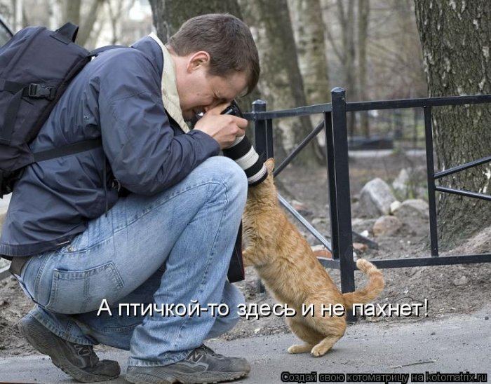 Мысли вслух :)