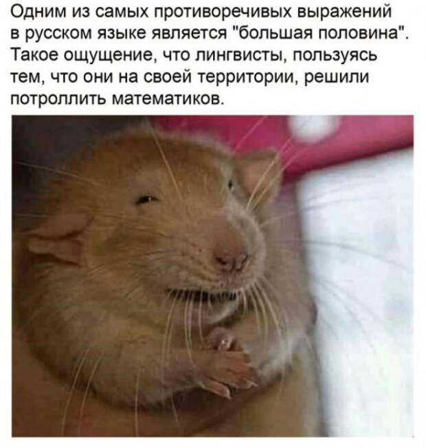 Картинки и мемы для настроения