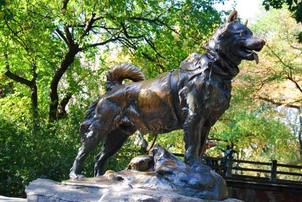 005-balto
