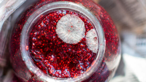 Что будет, если съесть продукт с плесенью