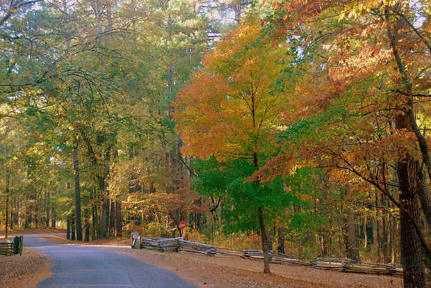 7 культовых автодорог США