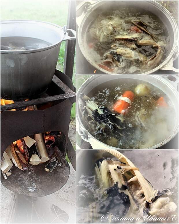 УХА из водки с головёшкой Еда, Уха, Уха на костре, Рыба, Тройная уха, Длиннопост