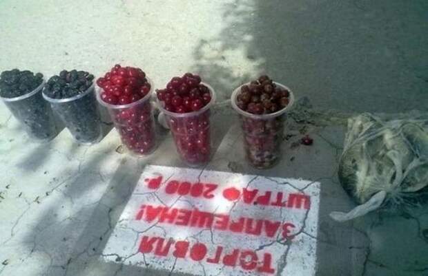 Люди, идущие против системы