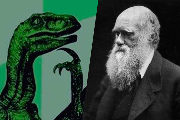 Биолог Лидский: в теории эволюции Дарвина можно найти пять неточностей