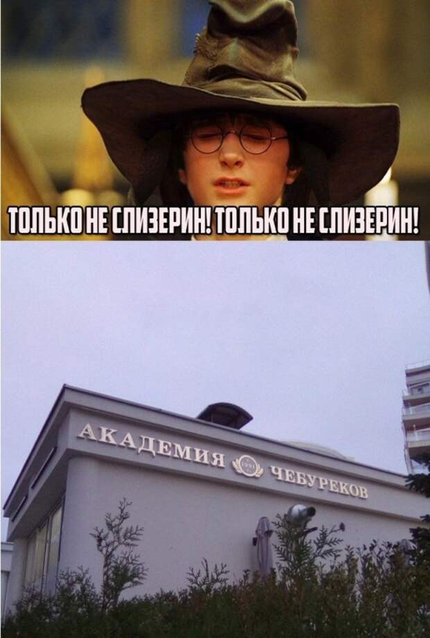 Подборка смешных и веселых картинок с надписью из сети (10 фото)