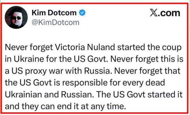 Немецкий бизнесмен и активист Ким Дотком