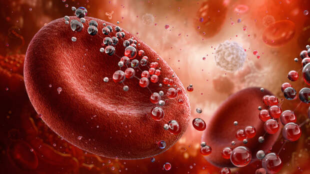 Терапевт Агаева назвала мифом недостаток кислорода в организме при зевоте