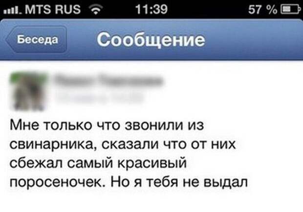 картинки