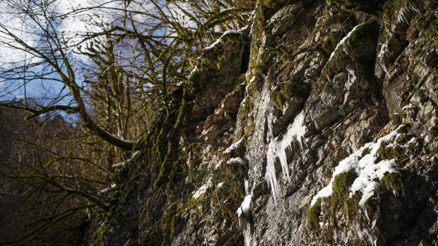 Эксперимент по выживанию: что известно о найденной мертвой в Новороссийске школьнице