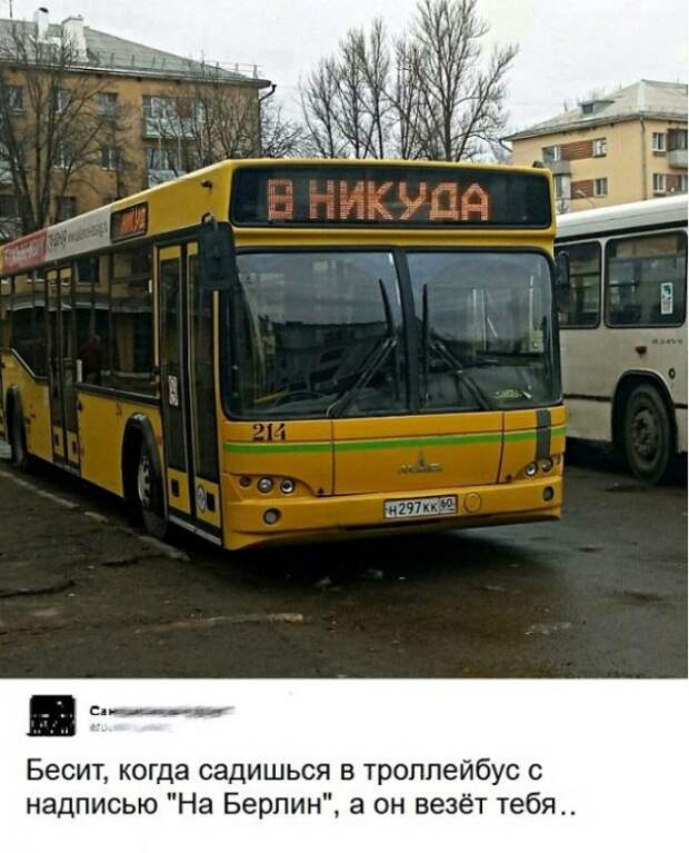 Картинки с надписями, истории и анекдоты