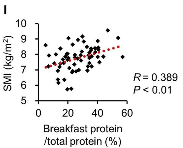 Употребление белка на завтрак связали с увеличением мышечной массы
