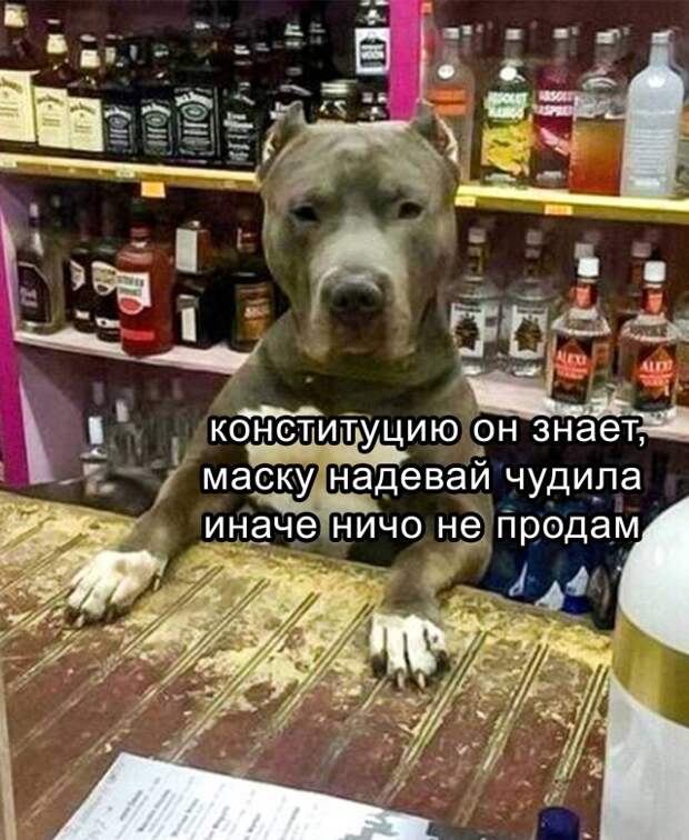 Смешные картинки 3 ноября 2021 года