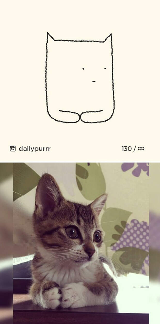 stupid-cat-drawings-dailypurrr-12-5af017ac0c917__605.jpg