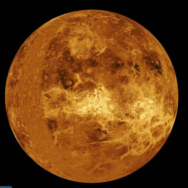 Советский астрофизик утверждал, что обнаружил на Венере живых существ