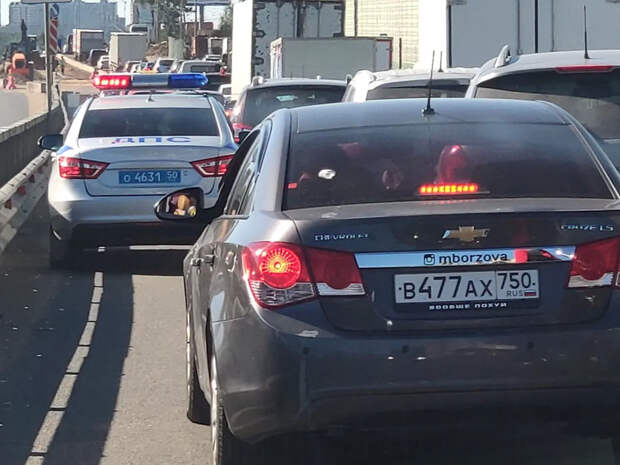 Поляки и немцы пытаются попасть в Россию перед Новым годом. Очереди гигантские