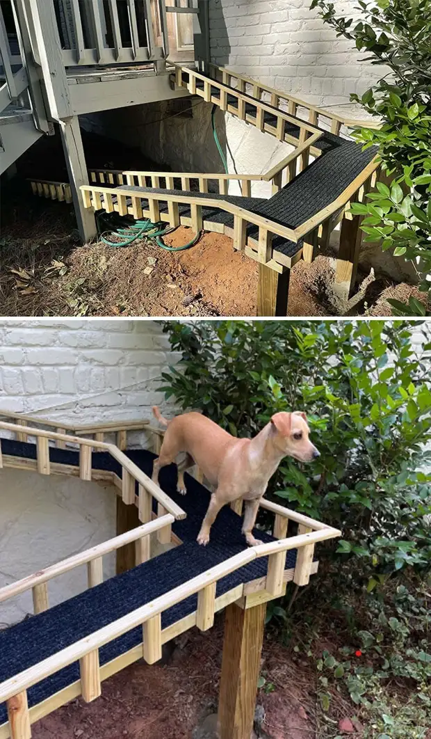 2. "Пёс моего друга, Бадди, не очень хорошо ходит по лестницам. Поэтому они попросили меня сделать для него пандус"