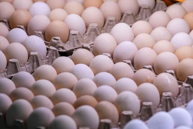 Berliner Zeitung: следы антибиотиков нашли в импортируемых с Украины в ЕС яйцах