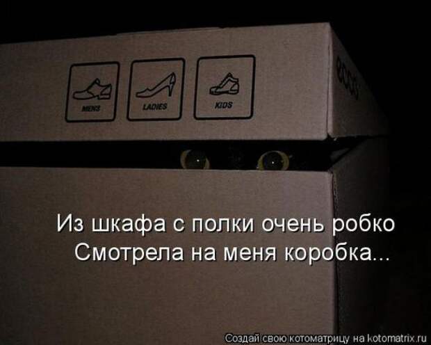 Котоматрицы(картинки с подписями)