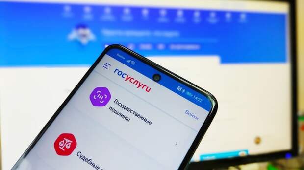 Портал госуслуг в телефоне / Фото: amic.ru
