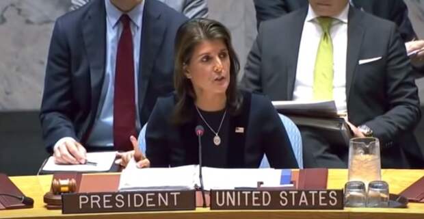 В Совфеде предложили постпреду США обратиться к психиатру