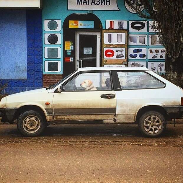 Ох, уж эти неловкие моменты, смотрим, сочувствуем, сопереживаем! Ох, уж эти неловкие моменты, смотрим, сочувствуем, сопереживаем!