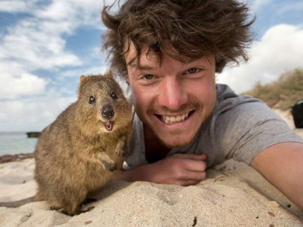 funny-animal-selfies-allan-dixon